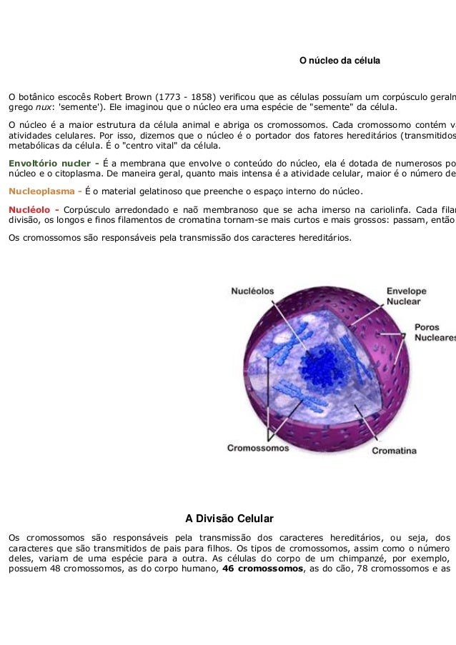 A membrana plasmatica apresenta uma propriedade tipica
