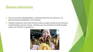 Desencadenantes
 Son los estímulos desagradables, fundamentalmente los químicos, los
potencialmente peligrosos o los molestos.
 También producen reacciones de asco toda una gama sensorial de estímulos
condicionados aversiva mente, mientras que los estímulos incondicionados
suelen ser olfativos o gustativos.
 
