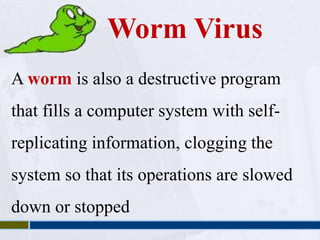 Worm Virus 
A worm is also a destructive program 
that fills a computer system with self-replicating 
information, clogging the 
system so that its operations are slowed 
down or stopped 
 