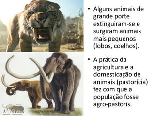 • Alguns animais de
  grande porte
  extinguiram-se e
  surgiram animais
  mais pequenos
  (lobos, coelhos).
• A prática da
  agricultura e a
  domesticação de
  animais (pastorícia)
  fez com que a
  população fosse
  agro-pastoris.
 