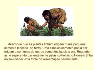 …  descobriu que as plantas tinham origem numa pequena semente lançada  na terra. Uma simples semente podia dar origem a centenas de outras sementes iguais a ela. Regando-as  e esperando pacientemente pelas colheitas, o Homem tinha ao seu dispor uma fonte de alimentação permanente. 