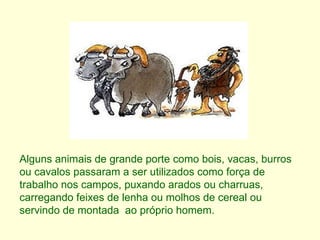 Alguns animais de grande porte como bois, vacas, burros ou cavalos passaram a ser utilizados como força de trabalho nos campos, puxando arados ou charruas, carregando feixes de lenha ou molhos de cereal ou servindo de montada  ao próprio homem. 
