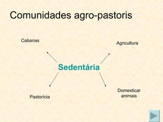 Comunidades agro-pastoris Sedentária Cabanas Agricultura Domesticar animais Pastorícia 