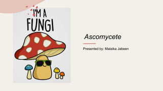 Ascomycete
Presented by: Malaika Jabeen
 