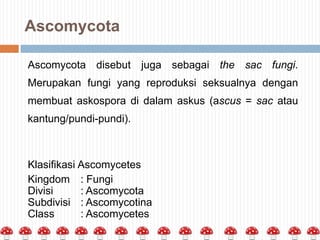 Ascomycota
Ascomycota disebut juga sebagai the sac fungi.

Merupakan fungi yang reproduksi seksualnya dengan
membuat askospora di dalam askus (ascus = sac atau
kantung/pundi-pundi).

Klasifikasi Ascomycetes
Kingdom : Fungi
Divisi
: Ascomycota
Subdivisi : Ascomycotina
Class
: Ascomycetes

 