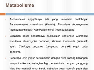 Metabolisme
1.

Ascomycetes

anggotanya

ada

yang

uniseluler

contohnya:

Saccharomyces cereviceae (khamir), Penicilium chrysogenum
(pembuat antibiotik), Aspergillus wentii (membuat kecap)
2.

Sebagian besar anggotanya multiseluler, contohnya Morchella

esculenta, Sarcosypha coccinea, Venturia inaequalis (merusak
apel),

Claviceps

purpurea

(penyebab

penyakit

ergot

pada

gandum).
3.

Beberapa jenis jamur bersimbiosis dengan akar kacang-kacangan
menjadi mikoriza, sebagian lagi bersimbiosis dengan ganggang
hijau biru menjadi lumut kerak, sebagian besar sporofit pada sisa

 