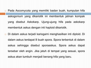 

Pada Ascomycota yang memiliki badan buah, kumpulan hifa
askogonium yang dikariotik ini membentuk jalinan kompak
yang disebut Askokarp. Ujung-ujung hifa pada askokarp
membentuk askus dengan inti haploid dikariotik.



Di dalam askus terjadi kariogami menghasilkan inti diploid. Di

dalam askus terdapat 8 buah spora. Spora terbentuk di dalam
askus sehingga disebut sporaaskus. Spora askus dapat
tersebar oleh angin. Jika jatuh di tempat yang sesuai, spora

askus akan tumbuh menjadi benang hifa yang baru.

 