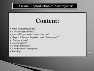c
Asexual Reproduction of Ascomycota:
Content:
✔ What are Reproduction?
✔ Asexual Reproduction??
✔ Asexual Reproduction in Ascomycota?
✔ Types of Asexual Reproduction in Ascomycota??
✔ Asexual spores?
✔ Ascomycetes??
✔ Conidia formation??
✔ Conidiospores, mitospores??
✔ Budding??
 