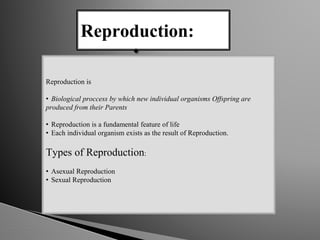 Reproduction:
Reproduction is
• Biological proccess by which new individual organisms Offspring are
produced from their Parents
• Reproduction is a fundamental feature of life
• Each individual organism exists as the result of Reproduction.
Types of Reproduction:
• Asexual Reproduction
• Sexual Reproduction
 