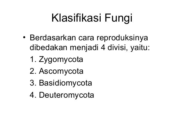 BIOLOGI X SMA - Ascomycota dan basidiomycota