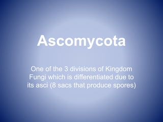 Ascomycota
One of the 3 divisions of Kingdom
Fungi which is differentiated due to
its asci (8 sacs that produce spores)
 