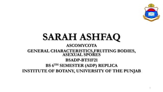 SARAH ASHFAQ
ASCOMYCOTA
GENERAL CHARACTERISTICS,FRUITING BODIES,
ASEXUAL SPORES
BSADP-BT51F21
BS 6TH SEMESTER (ADP) REPLICA
INSTITUTE OF BOTANY, UNIVERSITY OF THE PUNJAB
1
 
