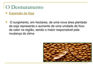 O Desmatamento 
 Expansão da Soja 
 O surgimento, em hectares, de uma nova área plantada 
de soja representa o aumento de uma unidade de foco 
de calor na região, sendo o maior responsável pela 
mudança do clima 
 