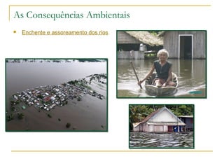 As Consequências Ambientais 
 Enchente e assoreamento dos rios 
 