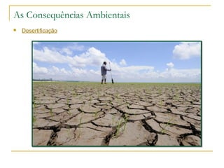 As Consequências Ambientais 
 Desertificação 
 