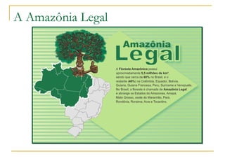 A Amazônia Legal 
 