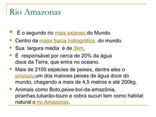 Rio Amazonas 
 É o segundo rio mais extenso do Mundo. 
 Centro da maior bacia hidrográfica do mundo. 
 Sua largura média é de 5km. 
 É responsável por cerca de 20% da água 
doce da Terra, que entra no oceano. 
 Mais de 2100 espécies de peixes, dentre eles o 
pirarucu,um dos maiores peixes de água doce do 
mundo, chegando a mais de 4,5 metros e até 200kg. 
 Animais como Boto,peixe-boi-da-amazônia, 
piranhas,tubarão-touro e cobra sucuri tem como habitat 
natural o rio Amazonas. 
 
