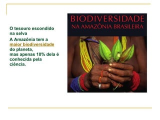 O tesouro escondido 
na selva 
A Amazônia tem a 
maior biodiversidade 
do planeta, 
mas apenas 10% dela é 
conhecida pela 
ciência. 
 