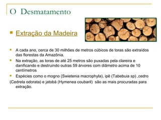 O Desmatamento 
 Extração da Madeira 
 A cada ano, cerca de 30 milhões de metros cúbicos de toras são extraídos 
das florestas da Amazônia. 
 Na extração, as toras de até 25 metros são puxadas pela clareira e 
danificando e destruindo outras 59 árvores com diâmetro acima de 10 
centímetros 
 Espécies como o mogno (Swietenia macrophyla), ipê (Tabebuia sp) ,cedro 
(Cedrela odorata) e jatobá (Hymenea coubaril) são as mais procuradas para 
extração. 
 