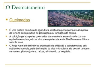 O Desmatamento 
 Queimadas 
 É uma prática primitiva da agricultura, destinada principalmente à limpeza 
do terreno para o cultivo de plantações ou formação de pastos. 
 A poluição gerada pelas queimadas da amazônia, era estimada como o 
equivalente ao lançado na atmosfera pela cidade de São Paulo nos últimos 
setenta anos 
 O Fogo Além de diminuir os processos de oxidação e transformação dos 
nutrientes normais, pela diminuição da vida microbiana, ele destrói também 
sementes, plantas jovens, raízes, eliminando os vegetais. 
 