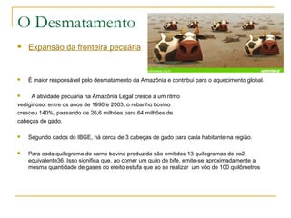 O Desmatamento 
 Expansão da fronteira pecuária 
 È maior responsável pelo desmatamento da Amazônia e contribui para o aquecimento global. 
 A atividade pecuária na Amazônia Legal cresce a um ritmo 
vertiginoso: entre os anos de 1990 e 2003, o rebanho bovino 
cresceu 140%, passando de 26,6 milhões para 64 milhões de 
cabeças de gado. 
 Segundo dados do IBGE, há cerca de 3 cabeças de gado para cada habitante na região. 
 Para cada quilograma de carne bovina produzida são emitidos 13 quilogramas de co2 
equivalente36. Isso significa que, ao comer um quilo de bife, emite-se aproximadamente a 
mesma quantidade de gases do efeito estufa que ao se realizar um vôo de 100 quilômetros 
 