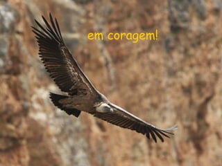 em coragem!
 