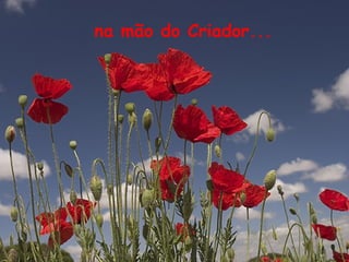 na mão do Criador...
 