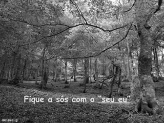 Fique a sós com o “seu eu”
 