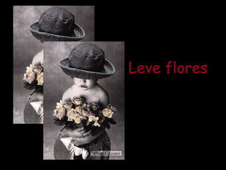 Leve flores

 