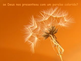 se Deus nos presenteou com um paraíso colorido?
 