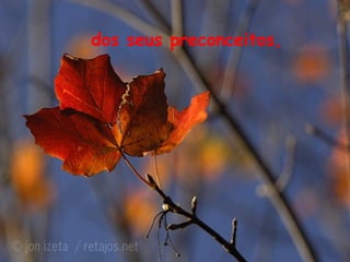 dos seus preconceitos,
 