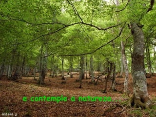 e contemple a natureza...
 