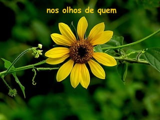 nos olhos de quem
 