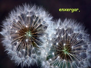 enxergar,
 