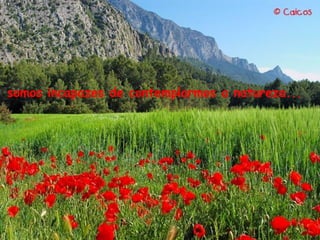 somos incapazes de contemplarmos a natureza...
 