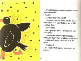 As cores de mateus