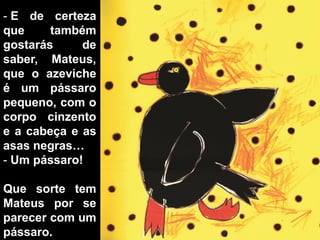 - E de certeza
que     também
gostarás     de
saber, Mateus,
que o azeviche
é um pássaro
pequeno, com o
corpo cinzento
e a cabeça e as
asas negras…
- Um pássaro!

Que sorte tem
Mateus por se
parecer com um
pássaro.
 