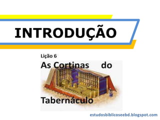 INTRODUÇÃO
 