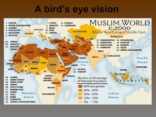 A bird’s eye vision
 