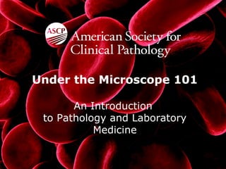 Under the Microscope 101
An Introduction
to Pathology and Laboratory
Medicine
1
 