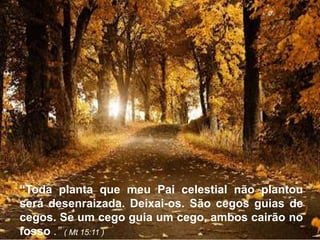 “Toda planta que meu Pai celestial não plantou 
será desenraizada. Deixai-os. São cegos guias de 
cegos. Se um cego guia um cego, ambos cairão no 
fosso .” ( Mt 15:11 ) 
 