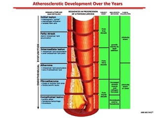 ABB MD FACC©
Atherosclerotic Development Over the Years
 