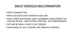 SINUS VENOSUS MALFORMATION
• MOST COMMON TYPE.
• PAPVC CO-EXISTS WITH SUPERIOR CAVAL ASD.
• RIGHT UPPER AND MIDDLE LOBE PULMONARY VEINS CONNECT TO
LOW SVC OR AVC – RIGHT ATRIAL JUNCTION - M/C ARRANGEMENT.
• SVC MAY BE SMALL IN SIZE IF LSVC PRESENT.
• OVER RIDING OF SVC, IF SEVERE, MAY PRODUCE CYANOSIS.
 