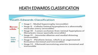 HEATH EDWARDS CLASSIFICATION
 