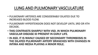 LUNG AND PULMONARY VASCULATURE
• PULMONARY ARTERIES ARE CONSIDERABLY DILATED DUE TO
INCREASED BLOOD FLOW.
• PULMONARY HYPERTENSION DOES NOT DEVELOP UNTIL 3RD OR 4TH
DECADE.
• THIS CONTRASTS SHARPLY WITH VSD, IN WHICH PULMONARY
VASCULAR DISEASE ID PRESENT IN EARLY LIFE.
• IN ASD, IT IS MAINLY CAUSED BY SECONDARY THROMBOSIS IN
THE DILATED PULMONARY ARTERY BRANCHES WITH CHANGES IN
INTIMA AND MEDIA PLAYING A MINOR ROLE.
 