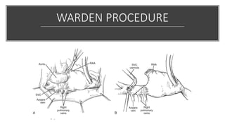 WARDEN PROCEDURE
 
