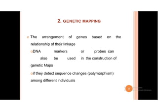 2. GENETIC MAPPING
o The arrangement of genes based on the
relationship of their linkage
oDNA markers or probes can
also be used in the construction of
genetic Maps
oif they detect sequence changes (polymorphism)
among different individuals
 