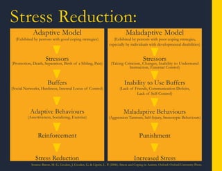 Autism and Affective Computing | PDF