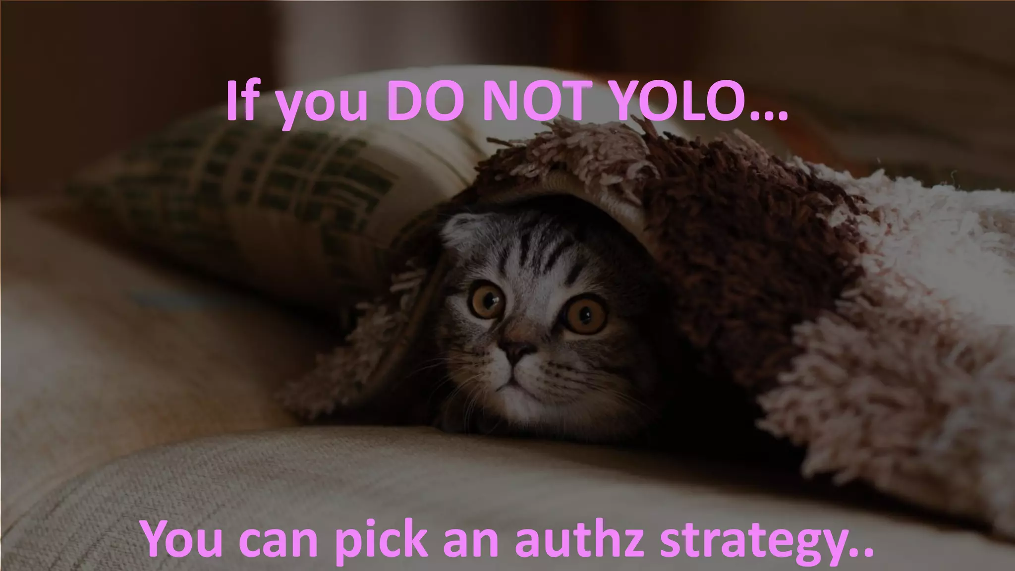 #RSAC
You can pick an authz strategy..
If you DO NOT YOLO…
 