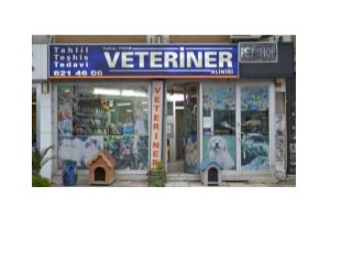 Bayrampaşa Acil Veteriner // 05436678123// nöbetçi veteriner/7/24 veteriner/fatih veteriner
